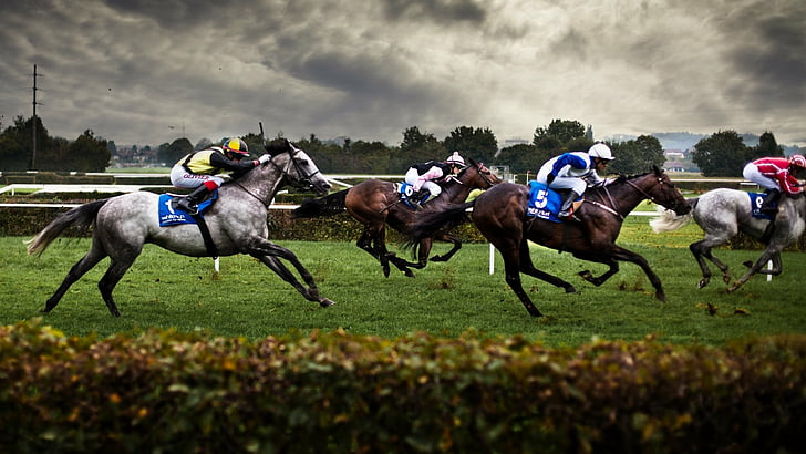 10 COMMON HORSE RACING EVENTS FOR BETTING